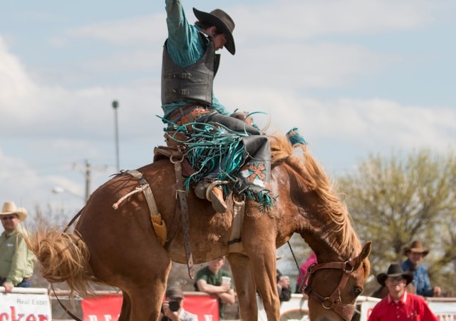Rodeo