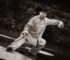 Arts martiaux chinois